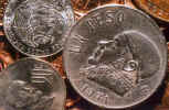 Mexican Coin Close-up (80631 bytes)