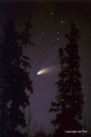 Comet Hale-Bopp Framed By Trees