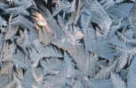 Close-up of Ice On Window (81840 bytes)