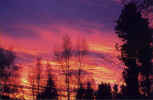 Sky Turns Violet at Sunset (53737 bytes)