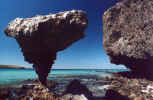 Erosion Shapes Wine Glass Rock at Balandra Bay (66320 bytes)